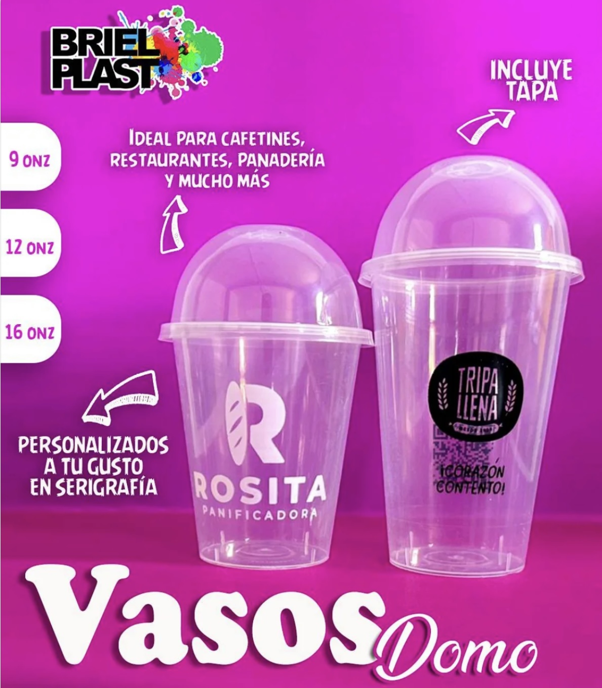 Vasos Domo